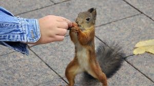 Best Supplements for Men Over 40: Top Picks for Energy, Testosterone &